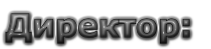Директор: